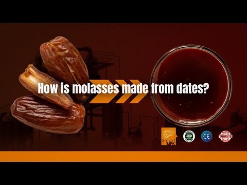 How is molasses made from dates?