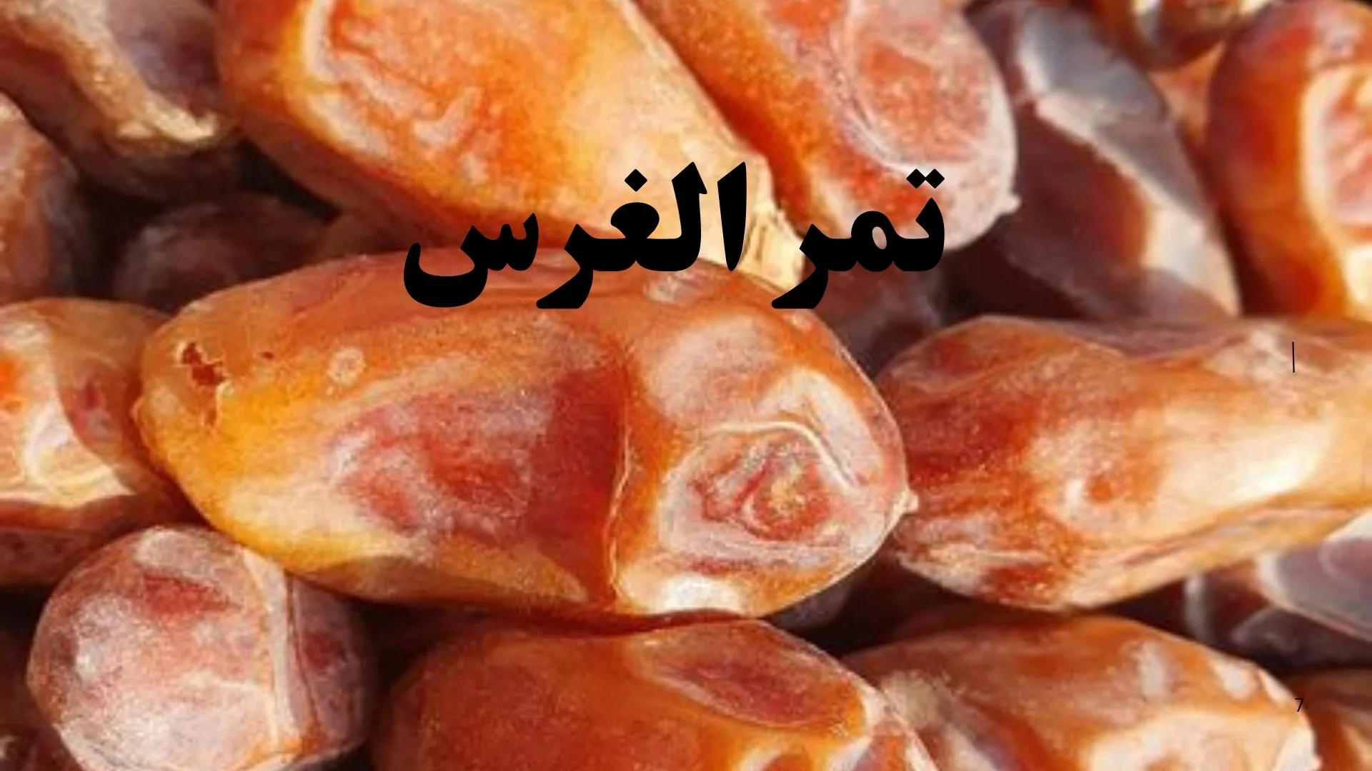 تمر الغرس