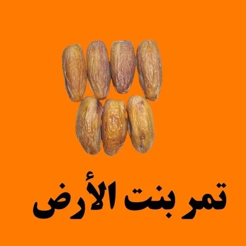 تمر بنت الأرض