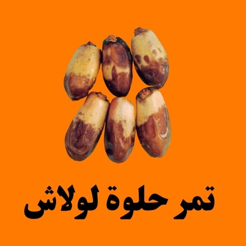 تمر حلوة لولاش